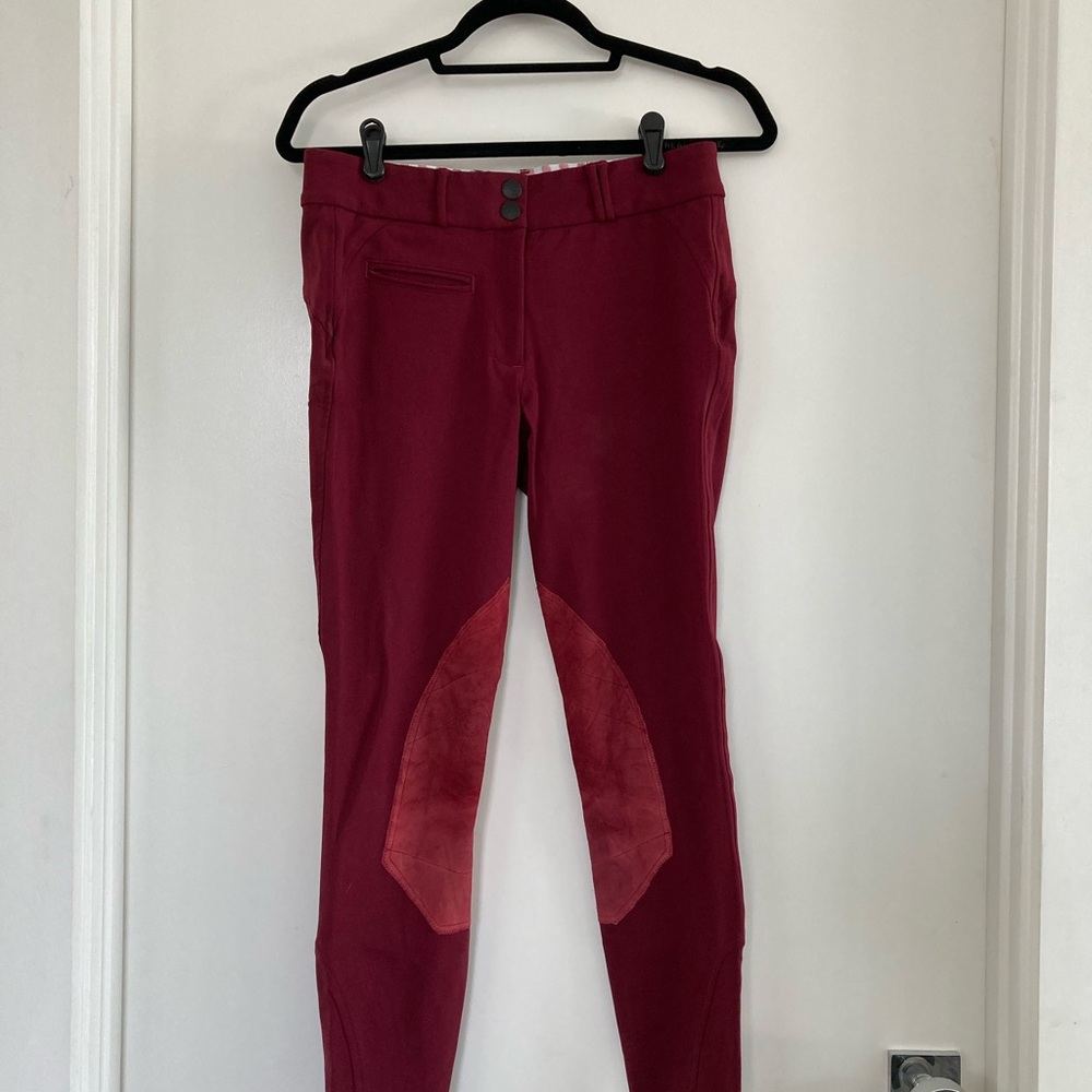 Callidae maroon riding breeches